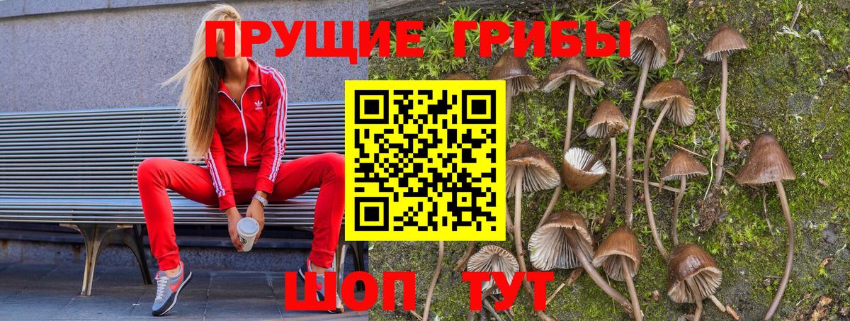 Кунгур  Псилоцибиновые грибы Magic Shrooms  Галлюциногенные грибы GOLDEN TEACHER  Вход с VPN 