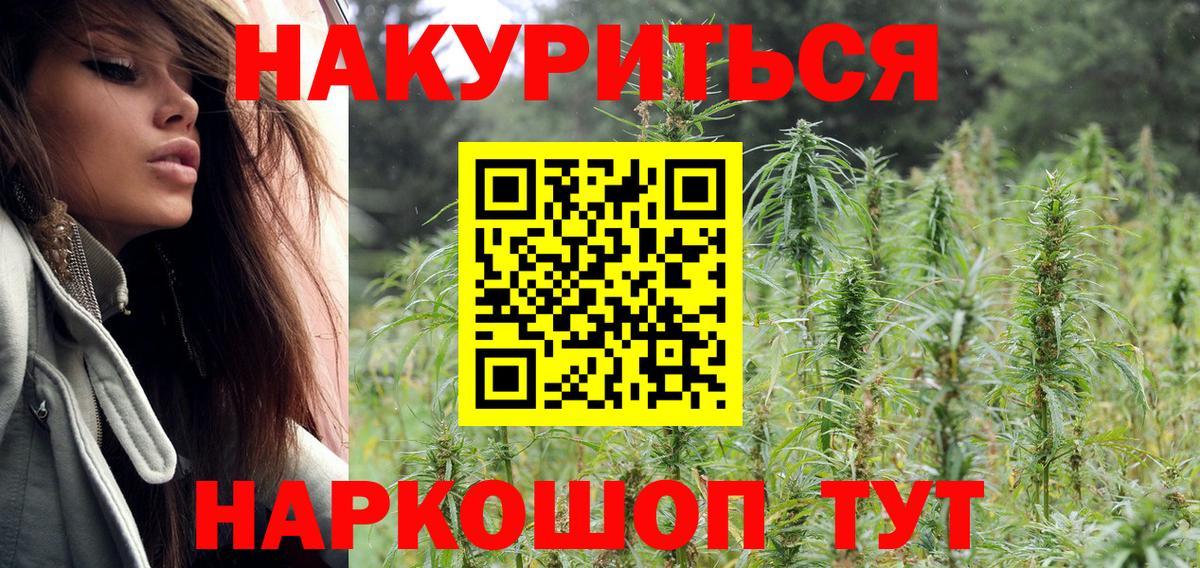 Шишки марихуана AK-47  Марихуана планчик  Кунгур  Канабис AK-47  Марихуана гибрид  Вход с VPN 